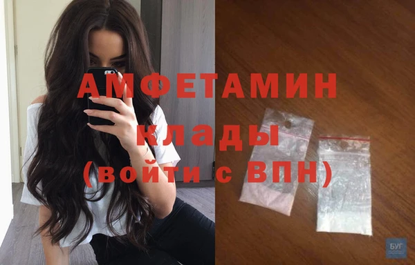 молекула духа Вязьма