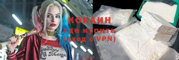 ПСИЛОЦИБИНОВЫЕ ГРИБЫ Верея