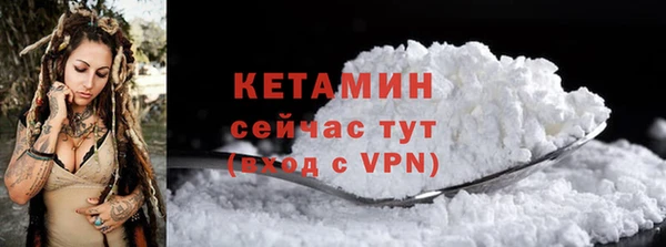 прущие грибы Горняк