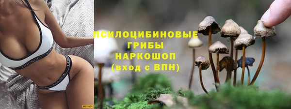 spice Вязники