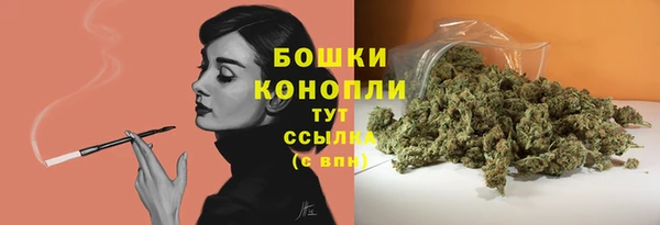 spice Вязники