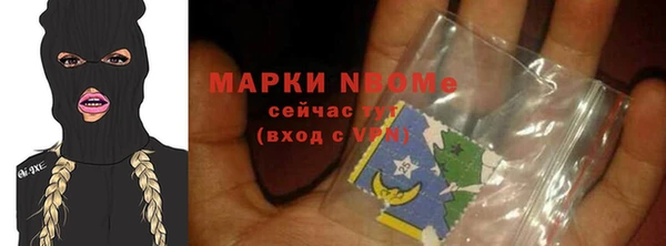 прущие грибы Горняк
