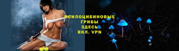 трава Горно-Алтайск
