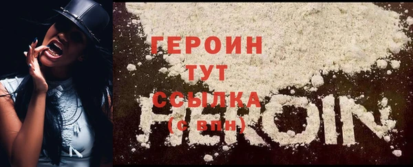 прущие грибы Горняк