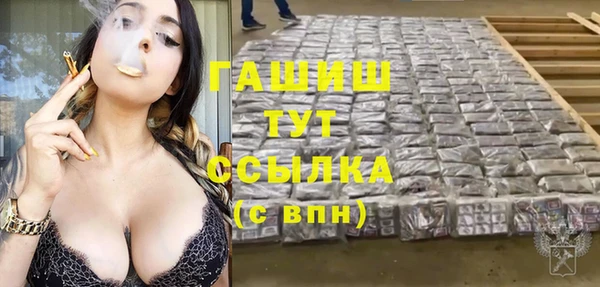 молекула духа Вязьма