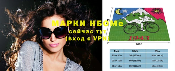 молекула духа Вязьма