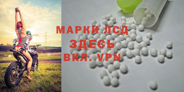 spice Вязники