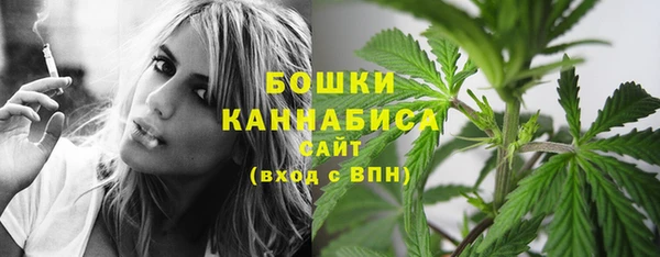трава Горно-Алтайск