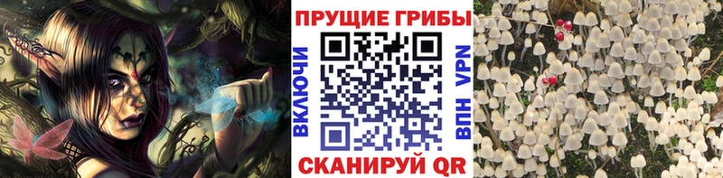 что такое наркотик  Железноводск  Псилоцибиновые грибы MAGIC MUSHROOMS 